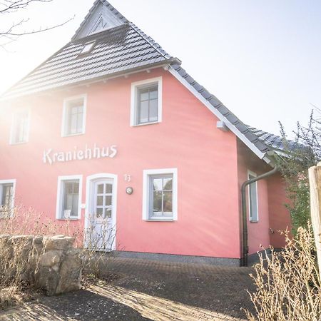 Kranichhus - Kranich 1 Leilighet Born Eksteriør bilde